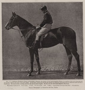 Winkfields Pride, il vincitore delle Cambridgeshire Stakes da English Photographer