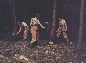 Lavoratrici del British Timber Corps che abbattono alberi, Seconda Guerra Mondiale (foto a colori)