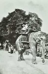 Giardini Zoologici, Regents Park: giri in elefante, Londra, c.1895