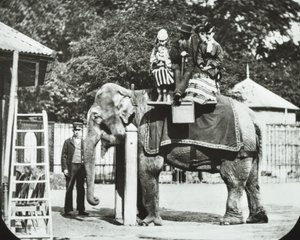 Giardini Zoologici, Regents Park: elefante con adulti e bambini in sella, Zoo di Londra, 1894 da English Photographer