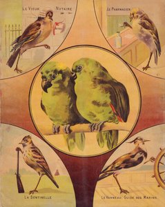 4a di copertina: coppia di uccelli e altri uccelli, inglese da English School