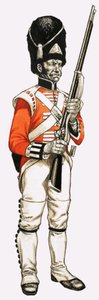 92° Granatiere di Fanteria 1815 da English School