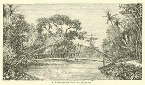 Un Ponte di Bambù nel Borneo