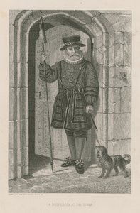 Un Beefeater alla Torre
