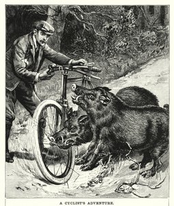 Avventura di un Ciclista (incisione) da English School