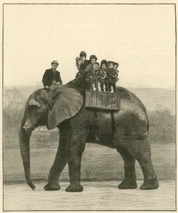 Un addio a cavallo di Jumbo da English School