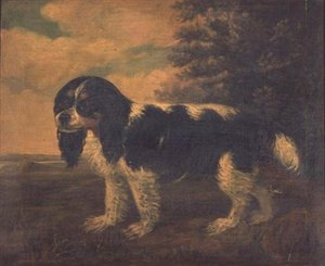 Un King Charles Spaniel in un paesaggio