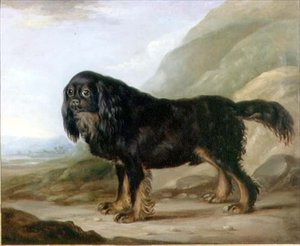 Un Cavalier King Charles Spaniel in un Paesaggio da English School