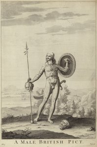 Un Pitto britannico maschio