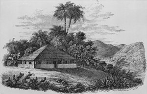Casa di un piantatore in Brasile da English School