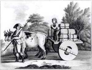 Una fattoria portoghese, da Una visione generale dello stato del Portogallo di James Murphy, pubblicato nel 1797