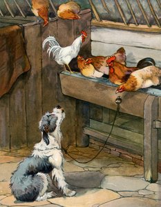 Una serenata