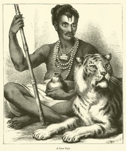 Una tigre addomesticata (incisione) da English School