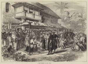 Un matrimonio di tigri a Coorg, India