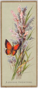 Cartolina di Natale vittoriana con una farfalla tra erbe alte, c.1880 da English School