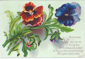 Cartolina di Natale vittoriana con un mazzo di viole del pensiero, c.1880