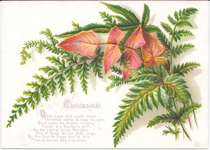 Cartolina di Natale Vittoriana con un Mazzo di Felci, c.1880 da English School