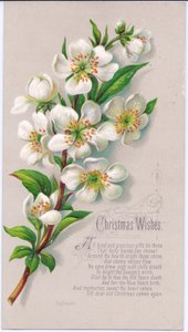 Una cartolina di Natale vittoriana con un mazzo di rose di Natale e un verso, c.1880