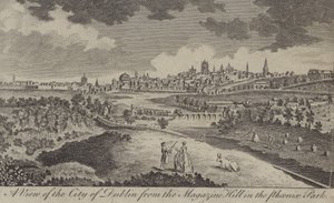 Veduta della città di Dublino dalla Collina del Magazine nel Phoenix Park da English School