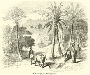 Un villaggio in Madagascar da English School