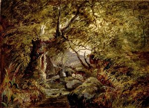 Un ruscello nel bosco da English School