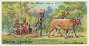 Un carro zulu