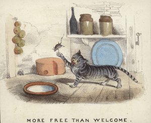 Un gatto che gioca con un topo che ha catturato da English School