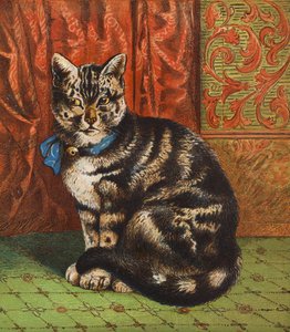 Un gatto alla moda (litografia a colori) da English School