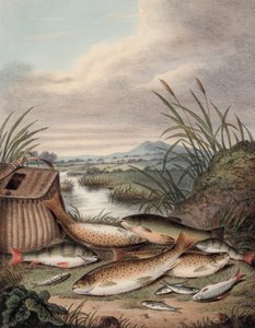 Una buona giornata di pesca da English School