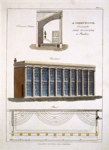 Una serra per John Elliott a Pimlico, Londra, 1806