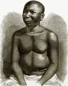 Un nativo delle isole Andamane da English School