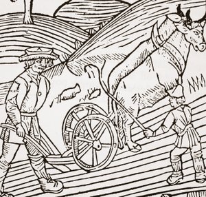 Una coppia di buoi attaccati a un aratro, frontespizio dal Boke of Husbandry di John Fitzherbert, prima pub. 1523 da English School