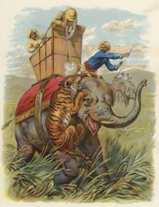 Un cane tigre in India