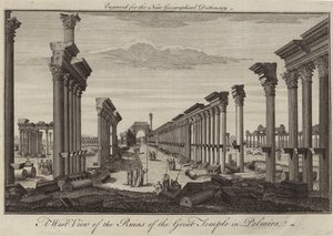 Vista occidentale delle rovine del Grande Tempio a Palmira