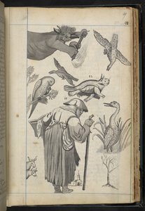 Illustrazione da 