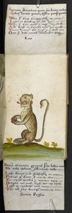 Libro di caccia