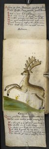 Libro di caccia