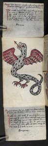 Libro di caccia