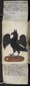 Libro di caccia da English School