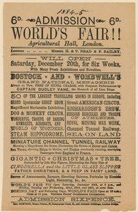 Ingresso alla Fiera Mondiale, Sala Agricola, Islington, 1884-85 da English School