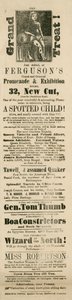 Pubblicità per la Grand and Oriental Promenade and Exhibition di Fergusons, 32 New Cut, Lambeth, Londra da English School
