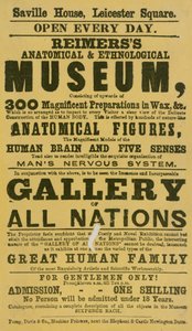 Pubblicità per il Museo Anatomico ed Etnologico di Reimers da English School