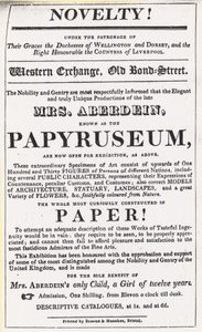 Pubblicità per una mostra del Papyruseum da English School