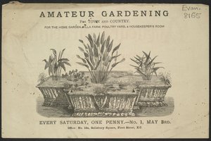 Pubblicità per il periodico di giardinaggio amatoriale da English School
