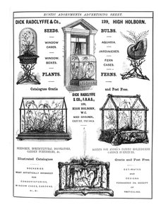 Pubblicità per Dick Radclyffe & Co. Rustic Adornments da English School