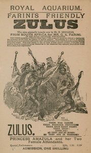 Pubblicità per i Zulu Amichevoli di Farini da English School
