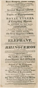 Pubblicità per il Royal Menagerie, Exeter Change da English School