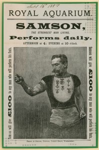 Pubblicità per Sansone da English School