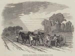 Quadri Agricoli, Semina e Erpicatura da English School
