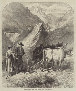 Agricoltura nella valle della Dora, ferrovia del Moncenisio (incisione) da English School
